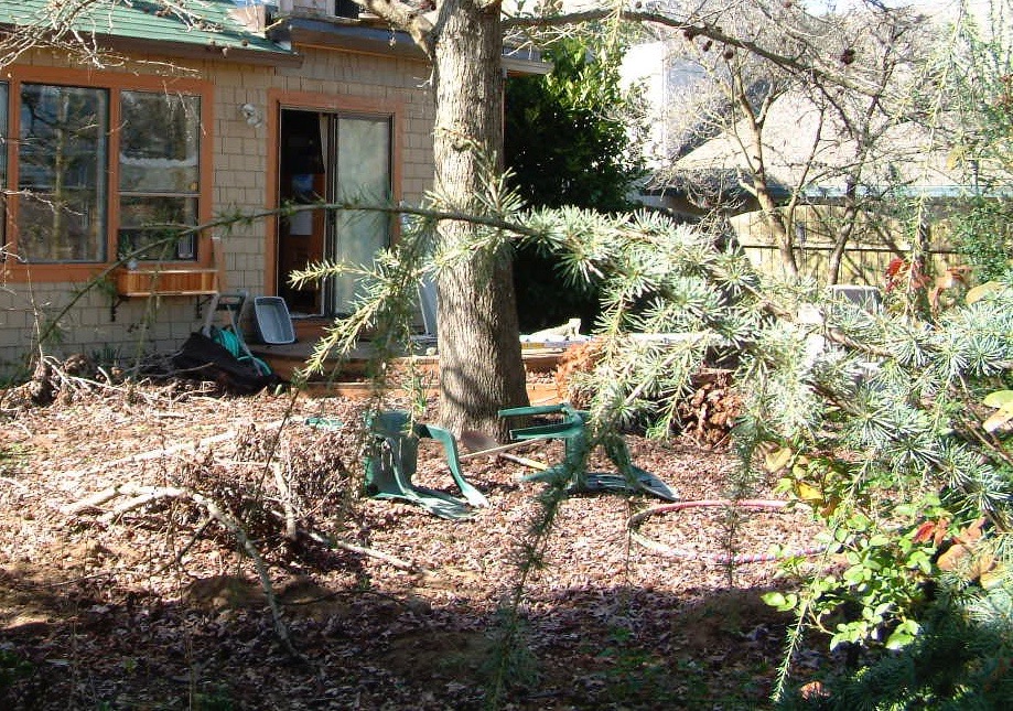 Before & After Gallery 13