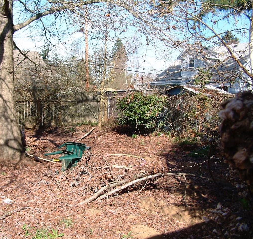 Before & After Gallery 19