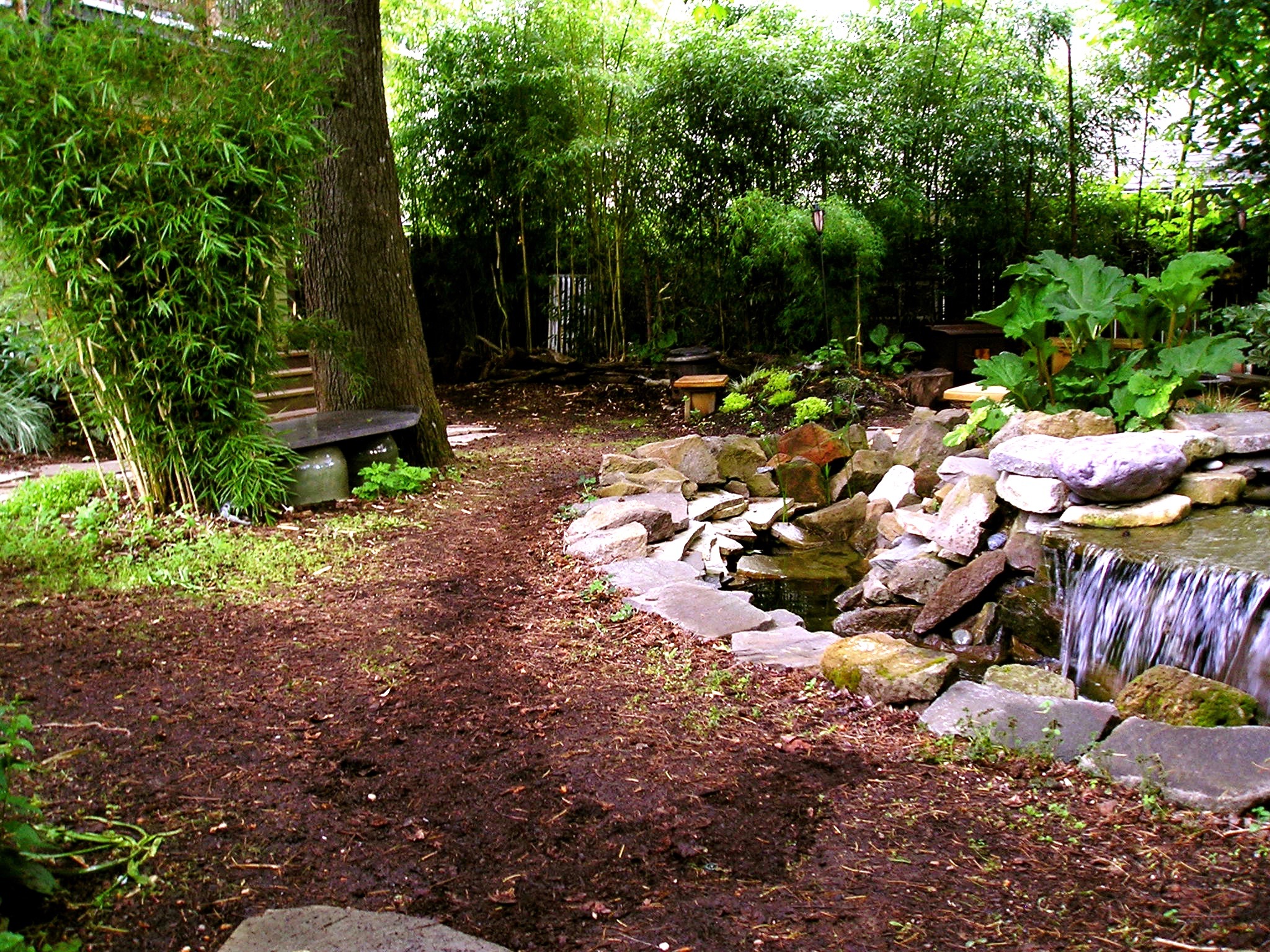 Before & After Gallery 14